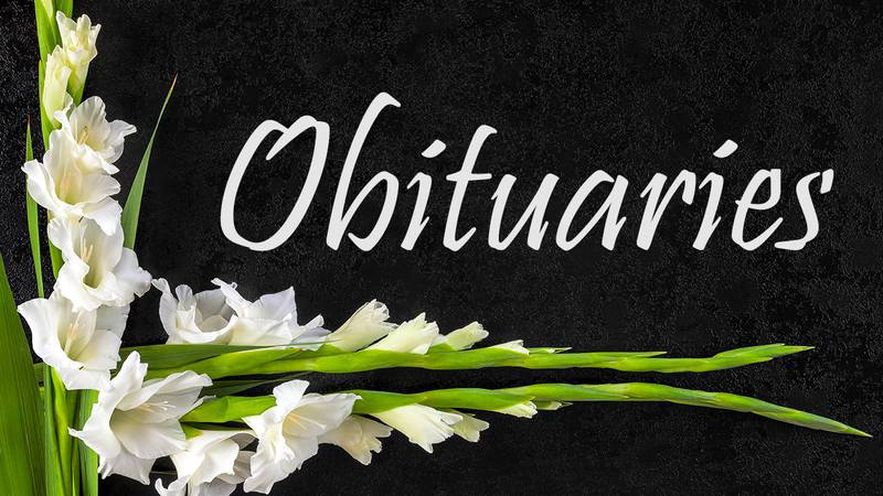 Gladioli flowers from above. Obituary or death notice concept.